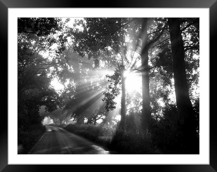 Sun Through Early Morning Mist Framed Mounted Print by Noreen Linale
