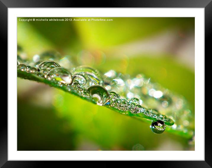 Raindrops Framed Mounted Print by michelle whitebrook