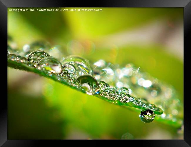 Raindrops Framed Print by michelle whitebrook