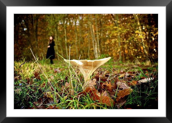 Mysterious Woods Framed Mounted Print by Thomas Latta
