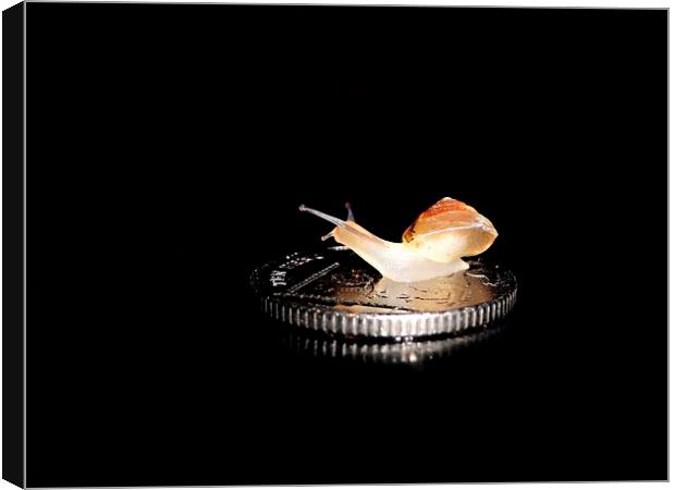 Snail on a 10p coin Canvas Print by Gary Pearson