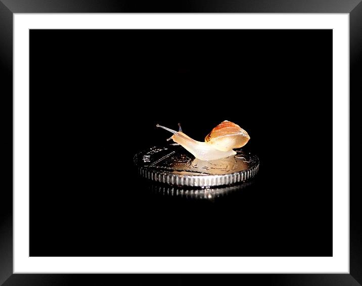 Snail on a 10p coin Framed Mounted Print by Gary Pearson