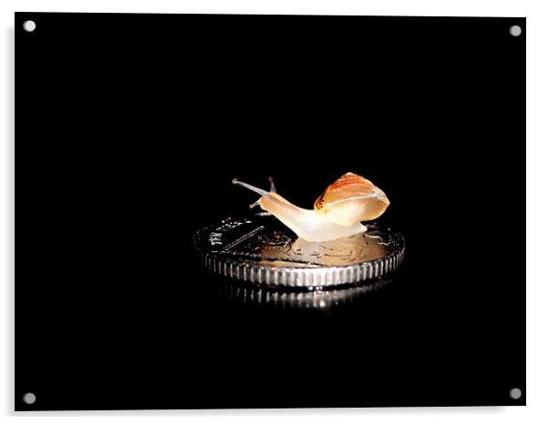 Snail on a 10p coin Acrylic by Gary Pearson