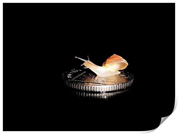 Snail on a 10p coin Print by Gary Pearson