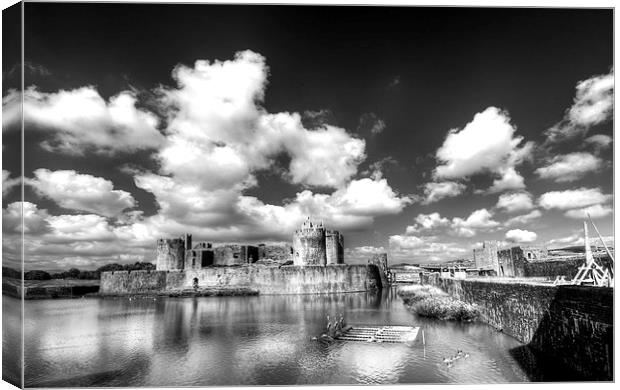 Caerphilly Castle 6 Monochrome Canvas Print by Steve Purnell