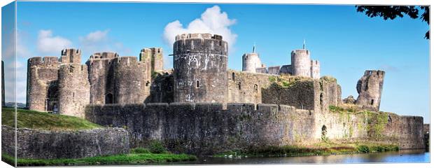 Caerphilly Castle 7 Canvas Print by Steve Purnell