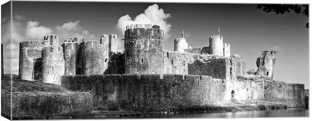 Caerphilly Castle 7 Monochrome Canvas Print by Steve Purnell