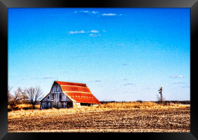 Last One Standing Framed Print by Mayo Fottral