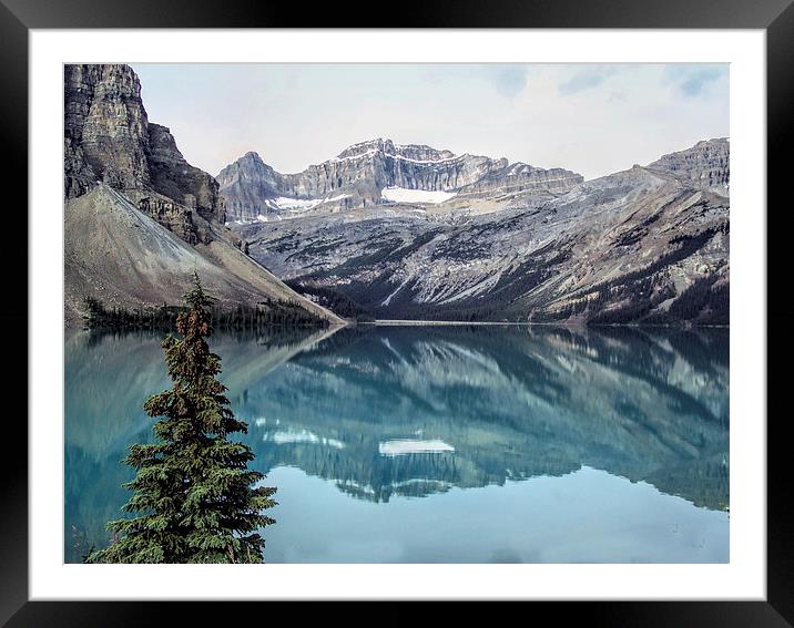 Reflections of the Canadian Rockies Framed Mounted Print by Lynn Bolt