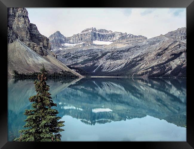 Reflections of the Canadian Rockies Framed Print by Lynn Bolt