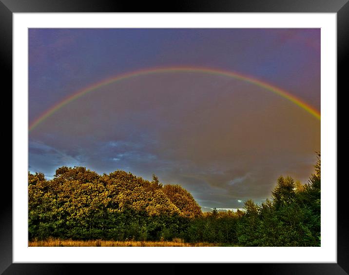 sing a rainbow.... Framed Mounted Print by Emma Ward