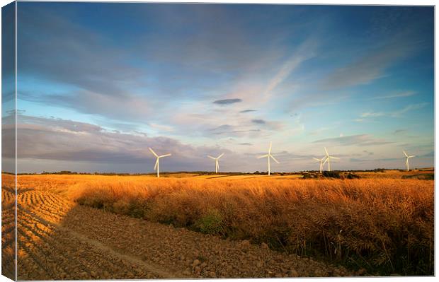 Wind Turbines in South Yorkshire Canvas Print by Darren Galpin