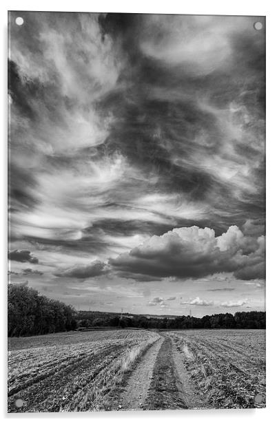 cloudy skies Acrylic by Jo Beerens