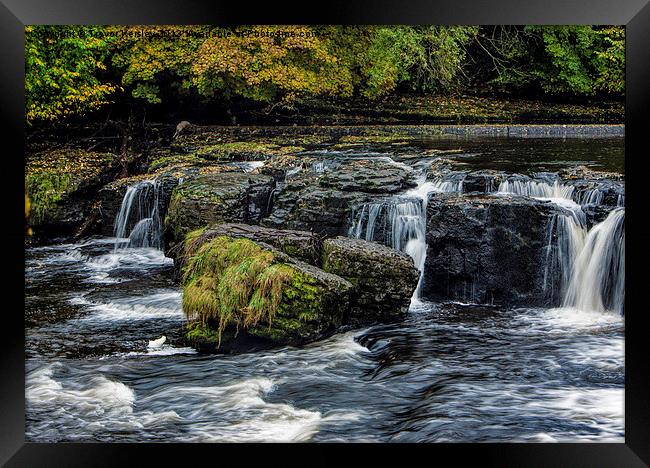 On The Rocks Aysgarth Framed Print by Trevor Kersley RIP