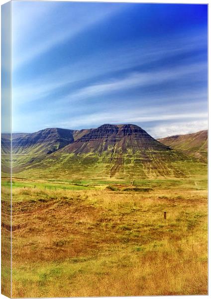 Northern Iceland Canvas Print by Mary Lane