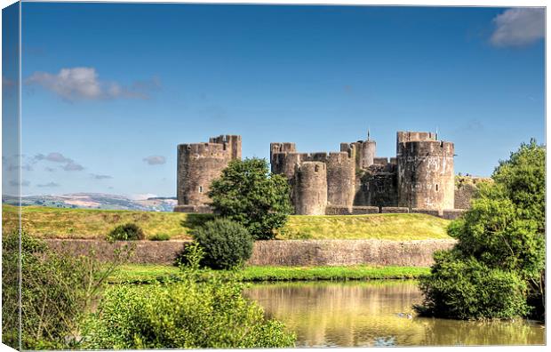 Caerphilly Castle 8 Canvas Print by Steve Purnell