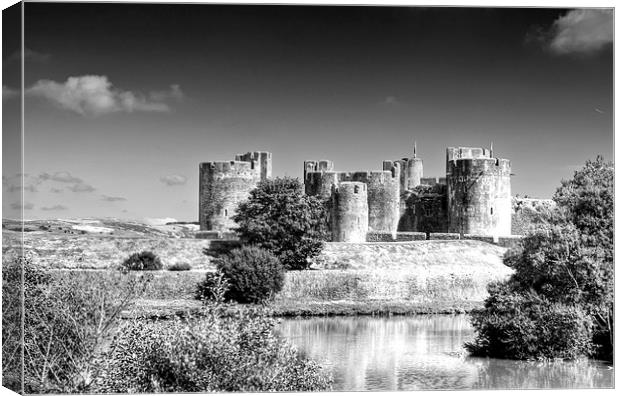 Caerphilly Castle 8 Mono Canvas Print by Steve Purnell