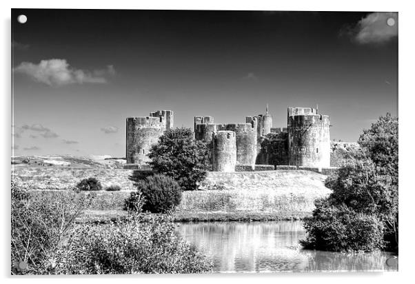 Caerphilly Castle 8 Mono Acrylic by Steve Purnell