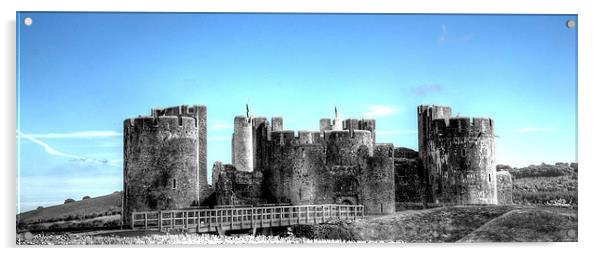 Caerphilly Castle Mono With Blue Sky Acrylic by Steve Purnell