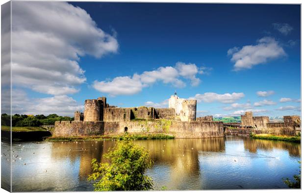 Caerphilly Castle 9 Canvas Print by Steve Purnell