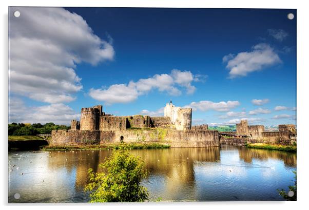 Caerphilly Castle 9 Acrylic by Steve Purnell