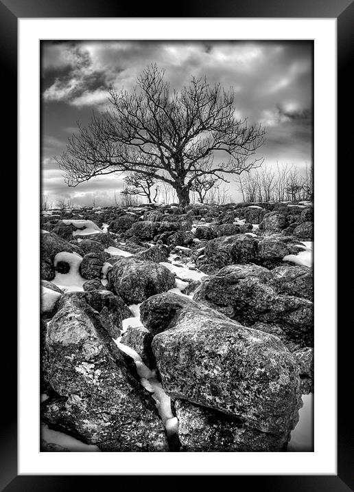 Lonely Tree Framed Mounted Print by Toby Gascoyne