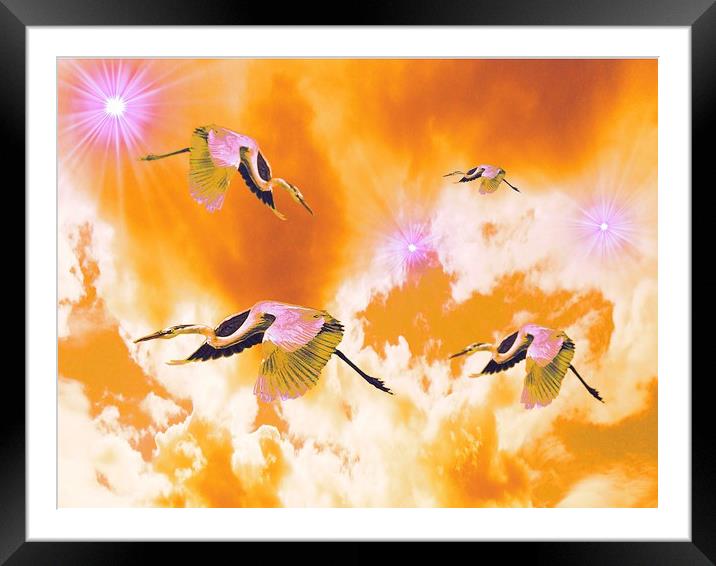 Dance of the Heron and Nebulae. Framed Mounted Print by Heather Goodwin