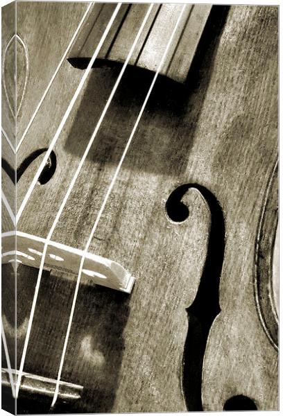 vintage violin Canvas Print by Heather Newton