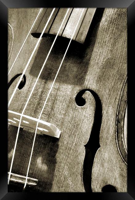 vintage violin Framed Print by Heather Newton