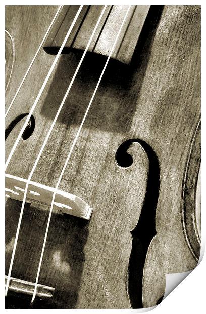 vintage violin Print by Heather Newton