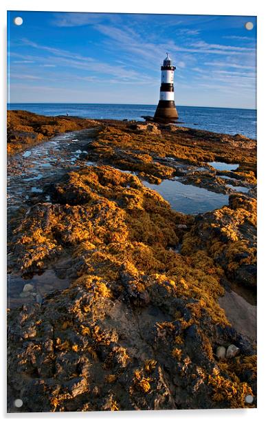 Penmon Lighthouse Acrylic by Tracey Whitefoot