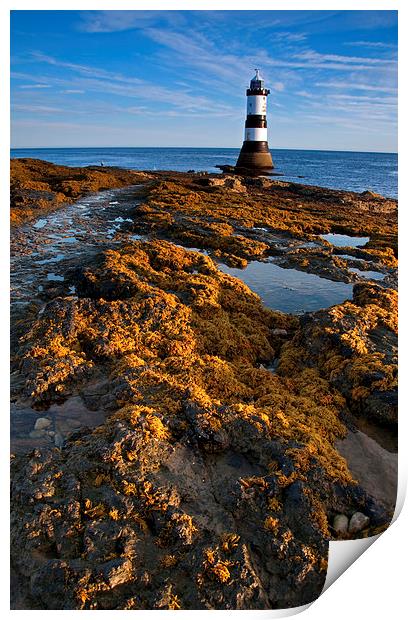Penmon Lighthouse Print by Tracey Whitefoot