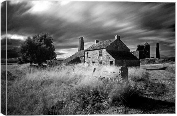 Spooky Magpie Mine Canvas Print by Tracey Whitefoot
