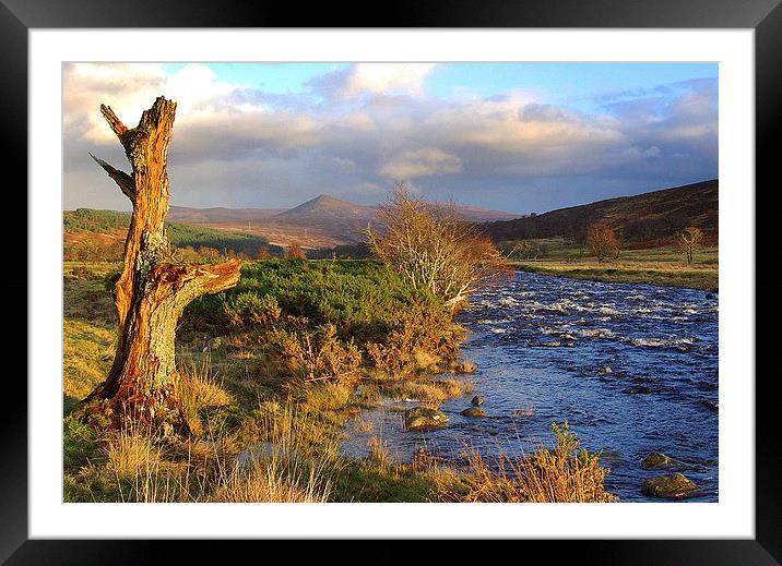 River Brora in Autumn Framed Mounted Print by David Wilson