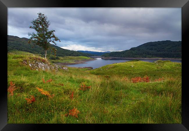 Glen Finglas Reservoir in the autumn, Scotland Framed Print by Gabor Pozsgai
