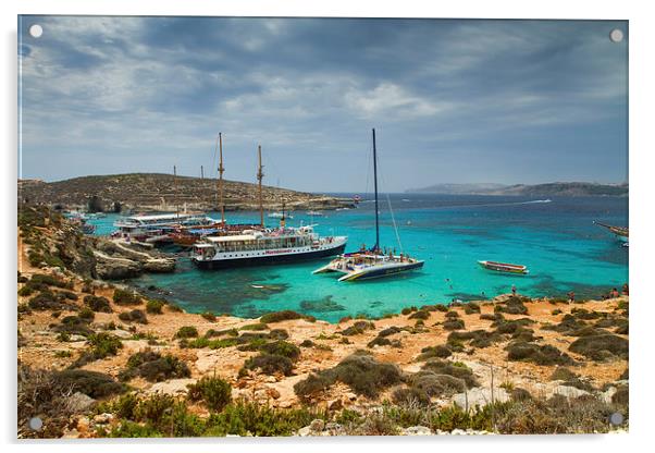 The Blue Lagoon, Comino, Malta Acrylic by Gabor Pozsgai