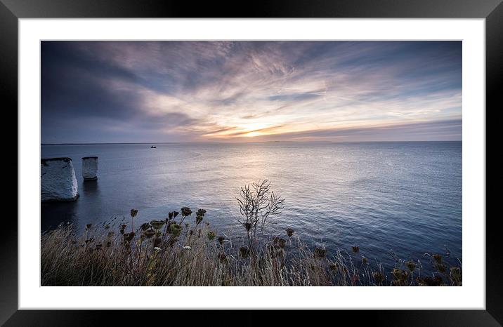 Clifftop at Old Harry Framed Mounted Print by Phil Wareham