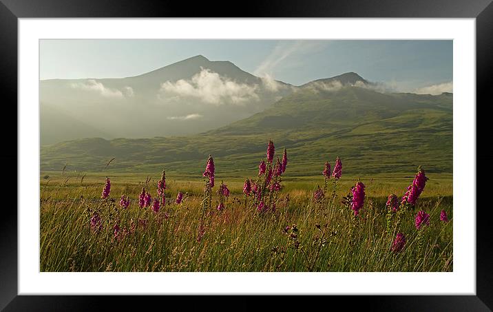 Ben More from Kinloch, Isle of Mull Framed Mounted Print by Sue Dudley