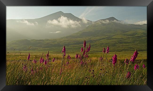 Ben More from Kinloch, Isle of Mull Framed Print by Sue Dudley
