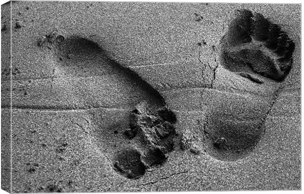 foot print in sand Canvas Print by jon betts