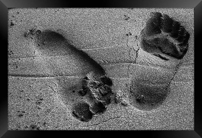 foot print in sand Framed Print by jon betts