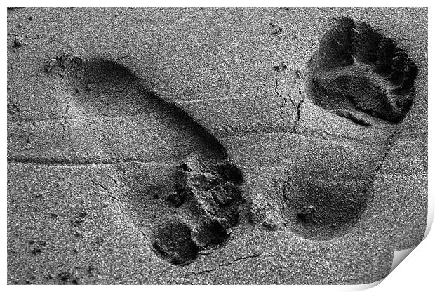 foot print in sand Print by jon betts