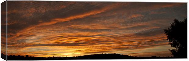 Waves Of Light Panorama Canvas Print by Steve Purnell