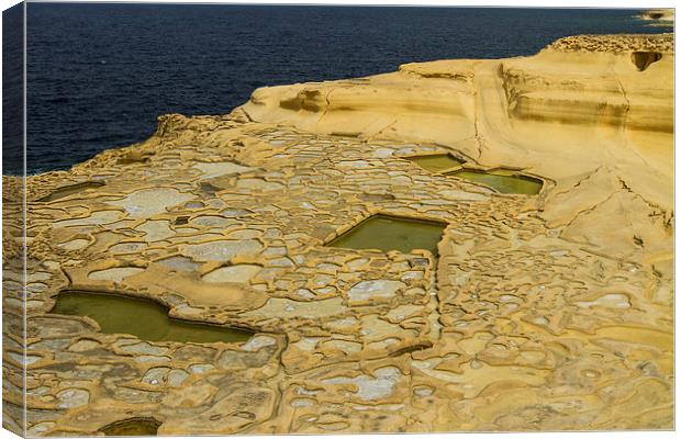 Salt pans on Gozo Island, Malta Canvas Print by Gabor Pozsgai
