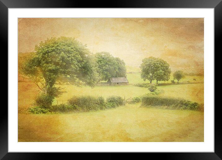 Homestead Framed Mounted Print by Sean Wareing