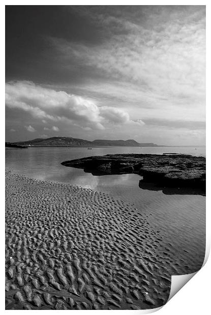 Lyme Regis Main Beach & View across Lyme Bay Print by Darren Galpin