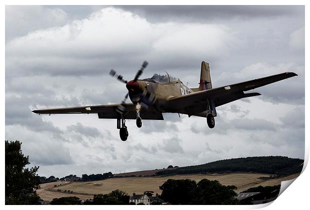 Tucano Print by Sam Smith