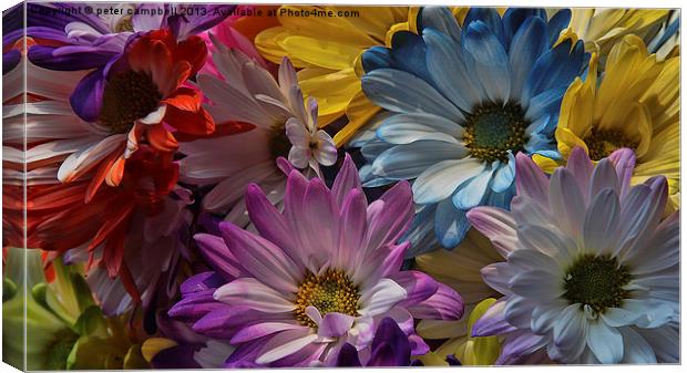 Colorful Flower Canvas Print by peter campbell