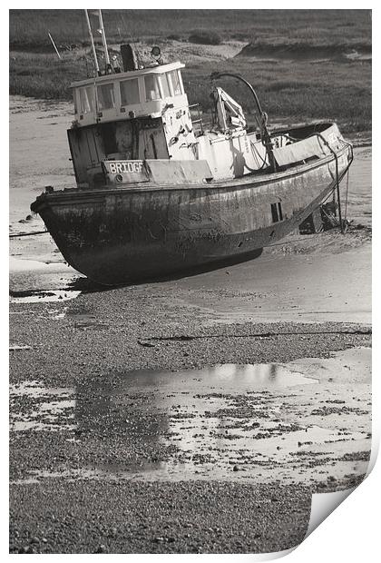 Shoreham Boat 3 Print by Richard Cooper-Knight