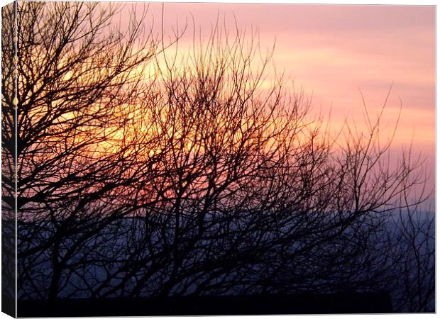 Spring Sunset through the bare trees Canvas Print by Bill Lighterness